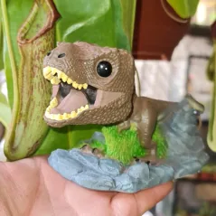 Rex Café - maceta Funko Pop